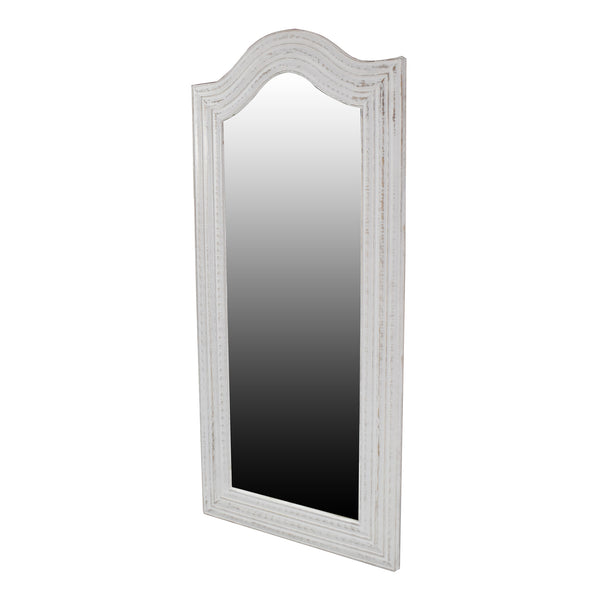 Large Decorative Wall Mirror 24x52 Inches