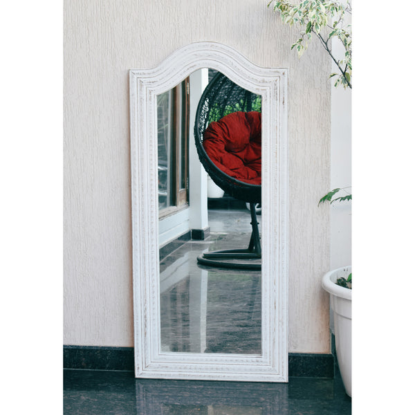 Large Decorative Wall Mirror 24x52 Inches